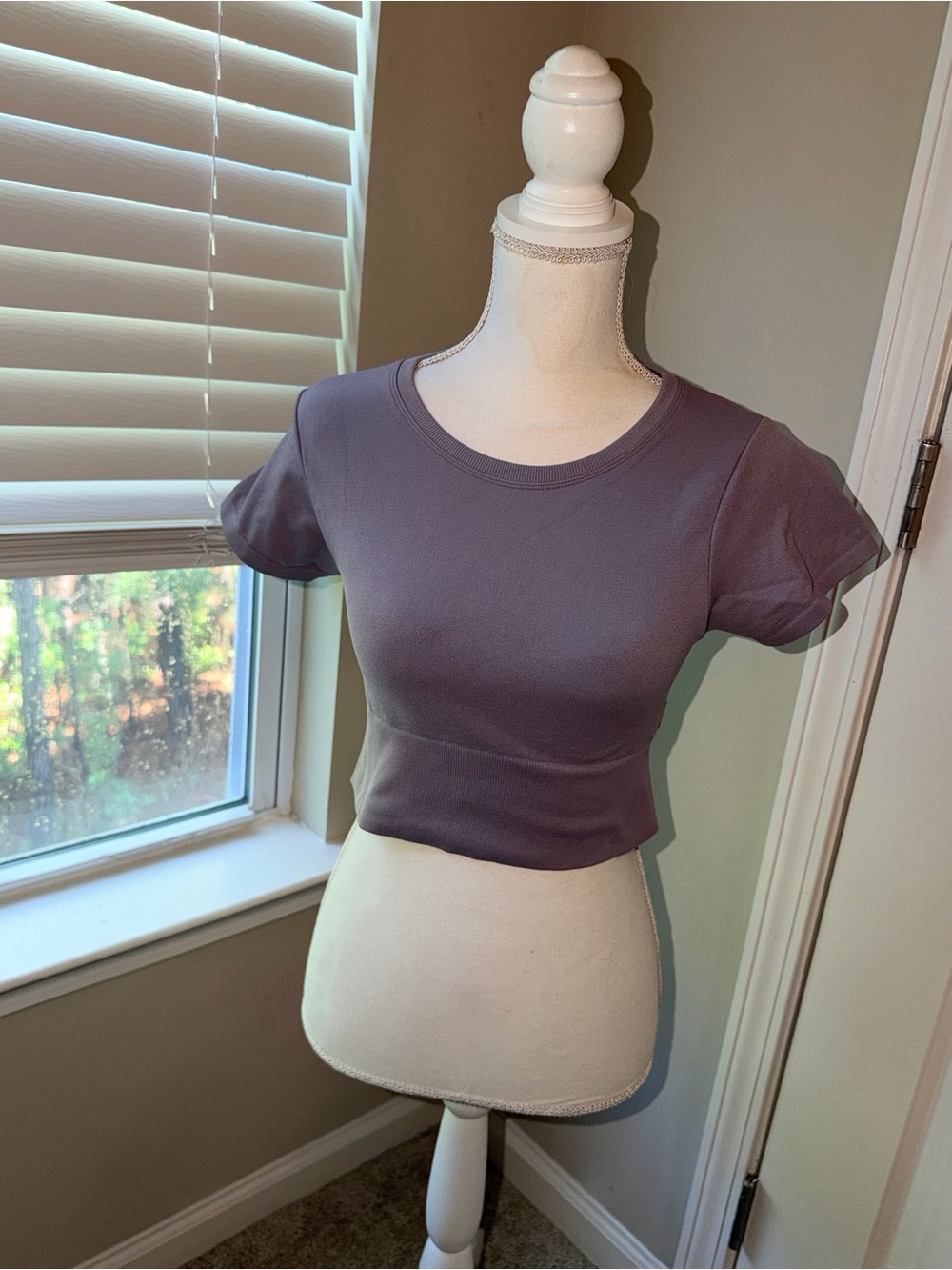 aerie Lavender Short Sleeve Crop Top